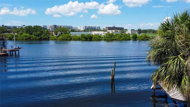 2203 N Riverside Dr, Tampa, FL 33602 - photo 6
