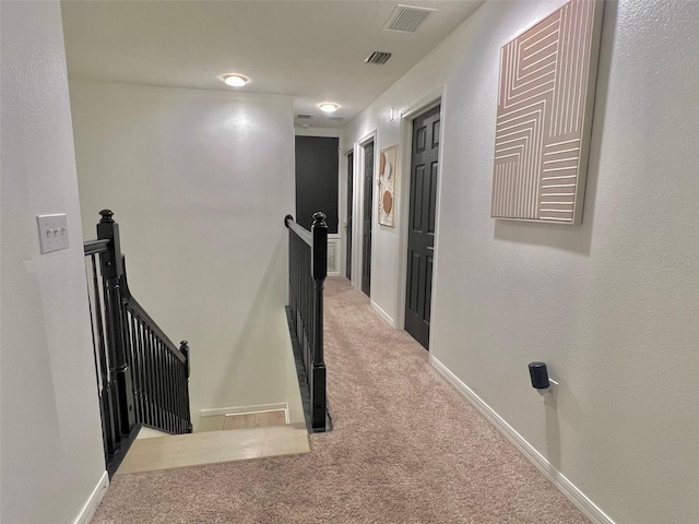 10924 Summerton Dr, Riverview, FL 33579 - photo 21
