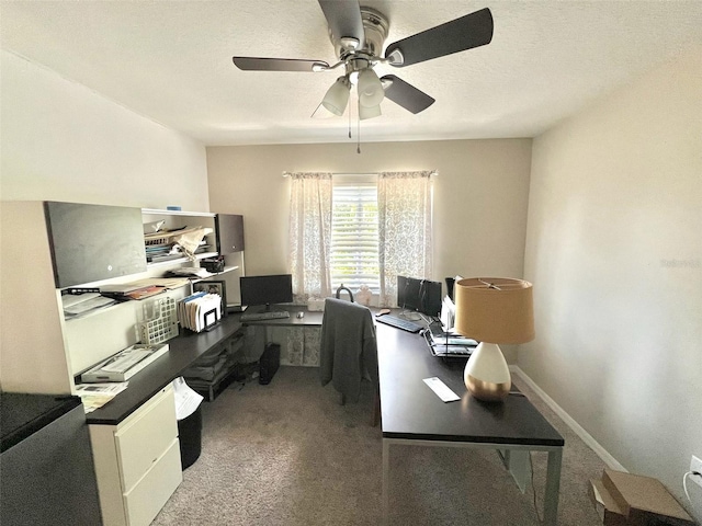 10924 Summerton Dr, Riverview, FL 33579 - photo 13