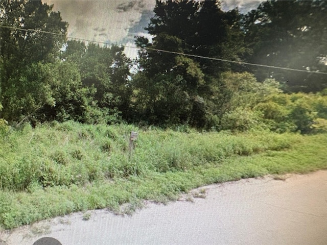 Rose Ave, Leesburg, FL 34788 - photo 1