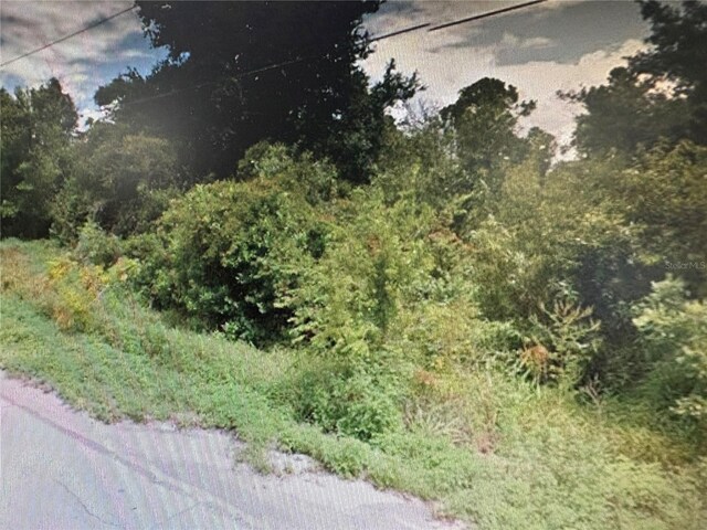 Rose Ave, Leesburg, FL 34788 - photo 2