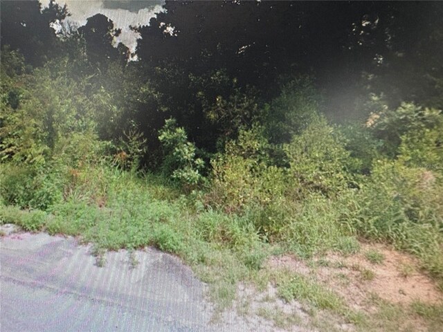 Rose Ave, Leesburg, FL 34788 - photo 4
