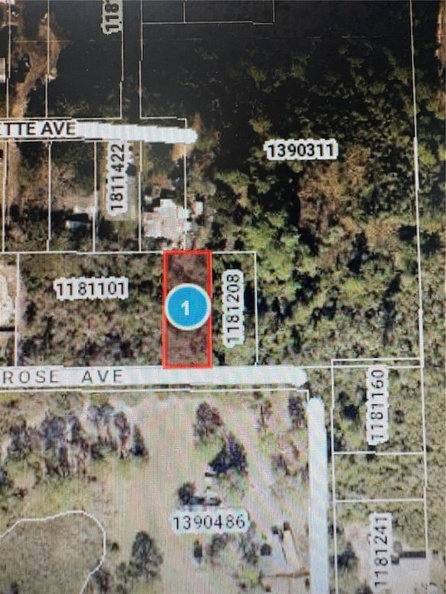 Rose Ave, Leesburg, FL 34788 - photo 8