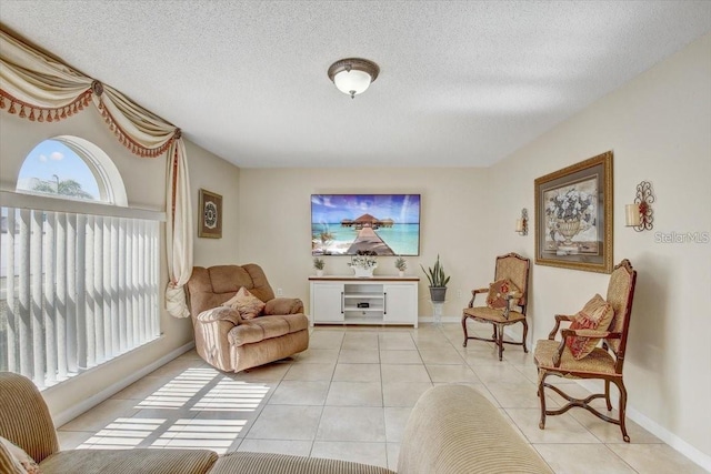10437 River Bream Dr, Riverview, FL 33569 - living area with light tile patterned floors and a textured ceiling