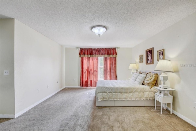 10437 River Bream Dr, Riverview, FL 33569 - bedroom featuring carpet floors and a textured ceiling