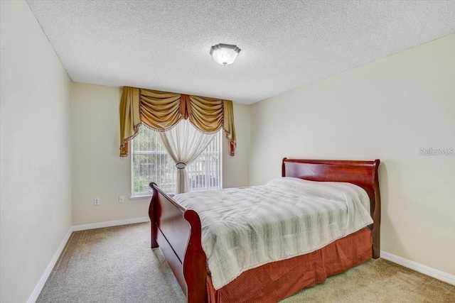 10437 River Bream Dr, Riverview, FL 33569 - bedroom with carpet floors and a textured ceiling