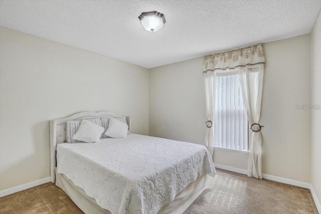 10437 River Bream Dr, Riverview, FL 33569 - carpeted bedroom with baseboards and a textured ceiling