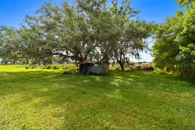 1109 Colson Rd, Plant City, FL 33567 - photo 57