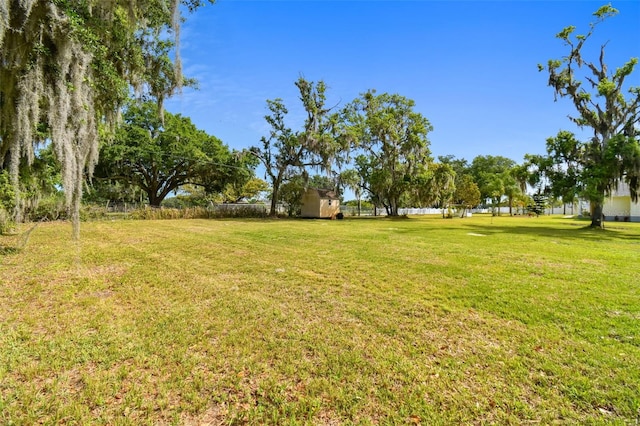 1109 Colson Rd, Plant City, FL 33567 - photo 58