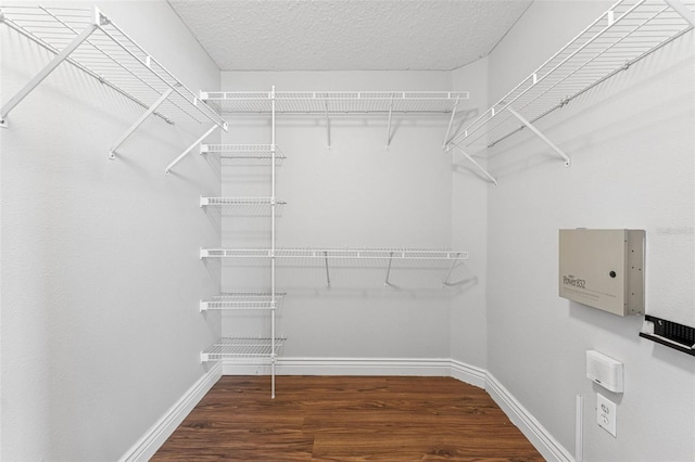 25946 Buckthorn Ave, Land O Lakes, FL 34639 - walk in closet with wood finished floors