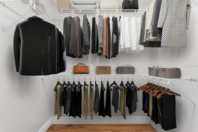 25946 Buckthorn Ave, Land O Lakes, FL 34639 - spacious closet with light wood-style flooring