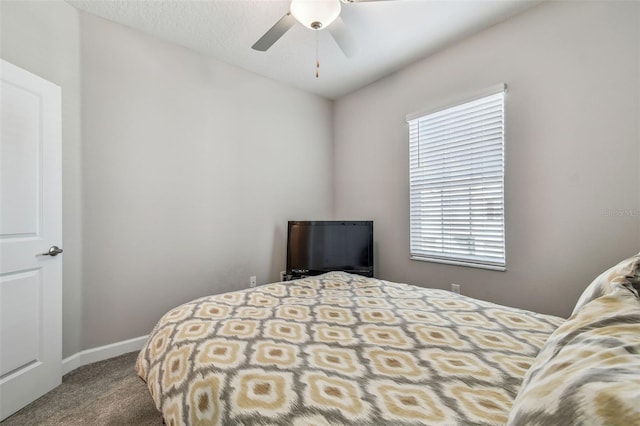6825 Citrus Creek Ln, Tampa, FL 33625 - carpeted bedroom with baseboards and ceiling fan