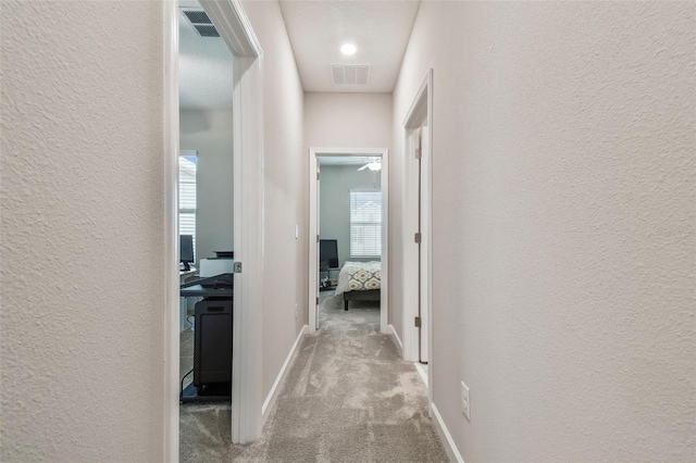 6825 Citrus Creek Ln, Tampa, FL 33625 - hallway with carpet flooring and a textured wall