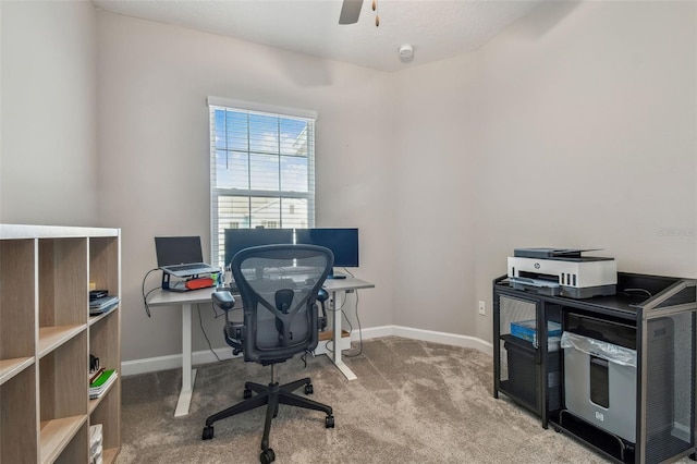 6825 Citrus Creek Ln, Tampa, FL 33625 - office area with carpet and a ceiling fan
