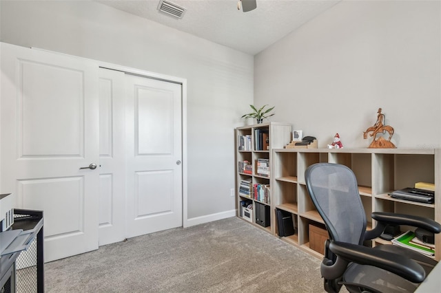 6825 Citrus Creek Ln, Tampa, FL 33625 - office space with carpet floors and ceiling fan