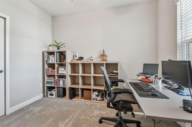 6825 Citrus Creek Ln, Tampa, FL 33625 - carpeted office space with baseboards