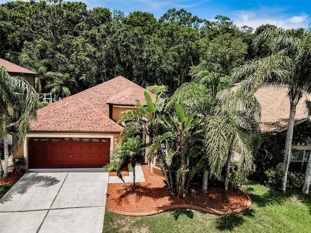 15762 Cedar Elm Ter, Land O Lakes, FL 34638 - photo 1