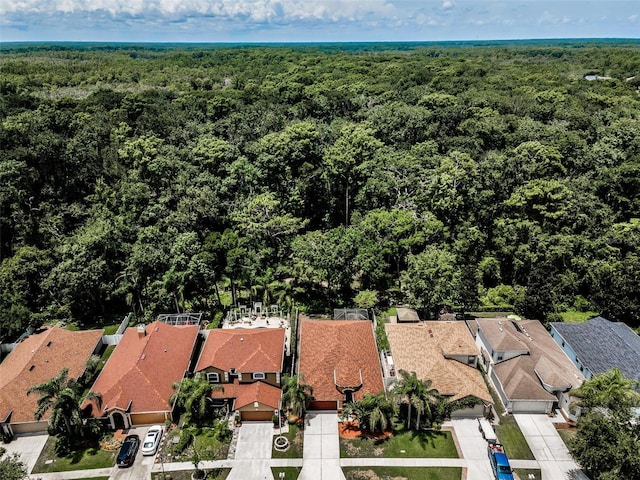 15762 Cedar Elm Ter, Land O Lakes, FL 34638 - photo 4