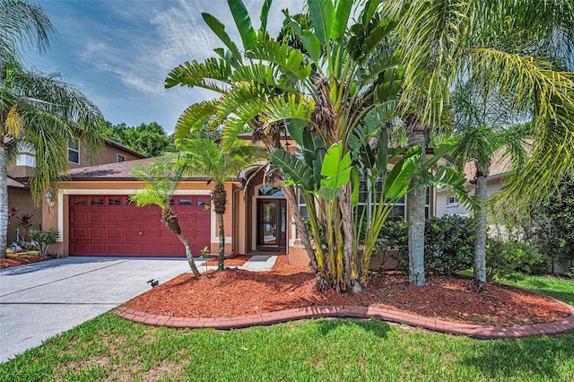 15762 Cedar Elm Ter, Land O Lakes, FL 34638 - photo 5