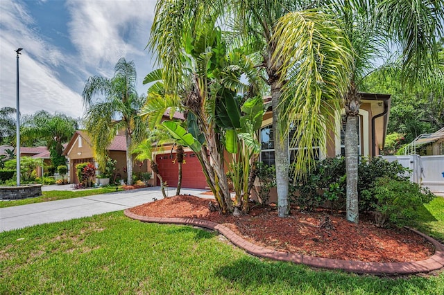 15762 Cedar Elm Ter, Land O Lakes, FL 34638 - photo 6