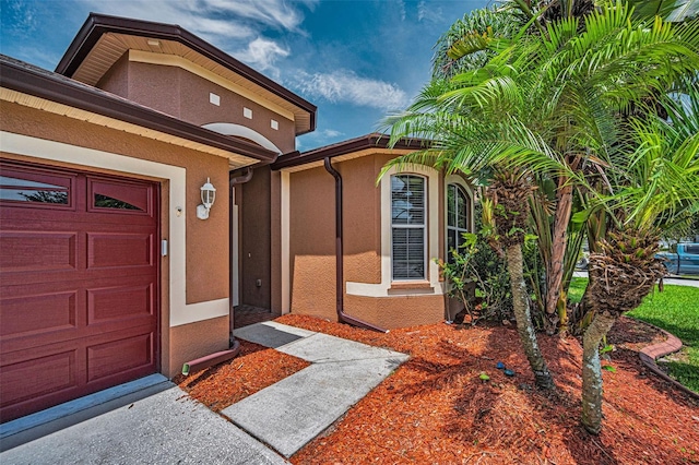 15762 Cedar Elm Ter, Land O Lakes, FL 34638 - photo 7