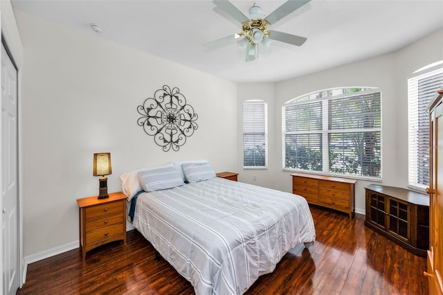 15762 Cedar Elm Ter, Land O Lakes, FL 34638 - photo 34