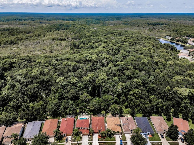 15762 Cedar Elm Ter, Land O Lakes, FL 34638 - photo 39