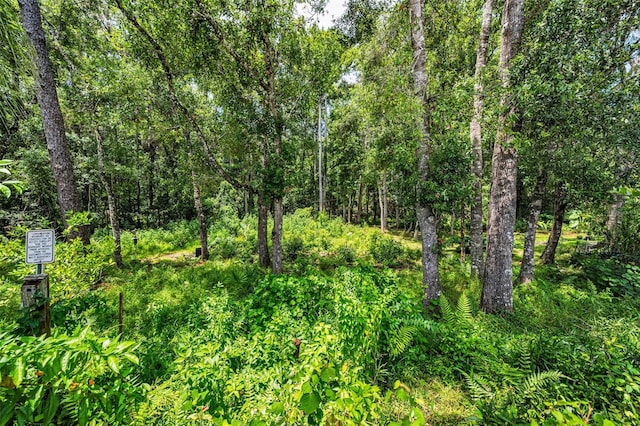 15762 Cedar Elm Ter, Land O Lakes, FL 34638 - photo 46