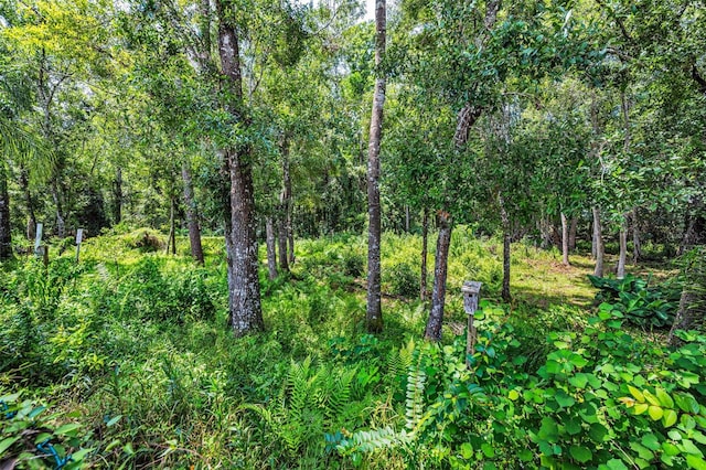 15762 Cedar Elm Ter, Land O Lakes, FL 34638 - photo 48