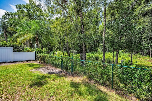 15762 Cedar Elm Ter, Land O Lakes, FL 34638 - photo 49