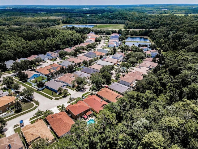 15762 Cedar Elm Ter, Land O Lakes, FL 34638 - photo 53