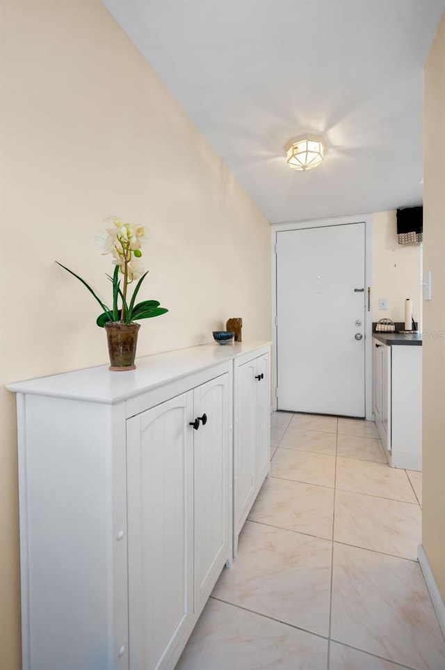 960 Virginia St Unit 204, Dunedin, FL 34698 - view of hall
