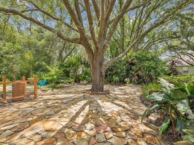 18803 Misty Shores Ln, Lutz, FL 33548 - view of patio