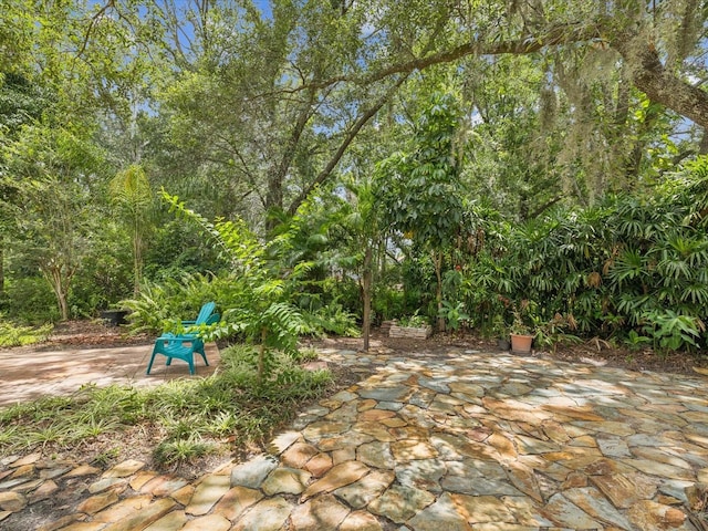 18803 Misty Shores Ln, Lutz, FL 33548 - view of patio