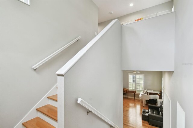 2506 S Obrapia St, Tampa, FL 33629 - photo 18