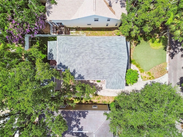 2506 S Obrapia St, Tampa, FL 33629 - photo 38