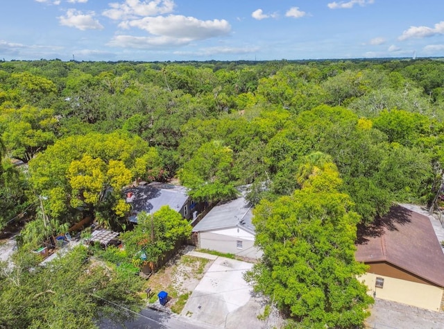 7920 N Marks St, Tampa, FL 33604 - bird's eye view of a forest