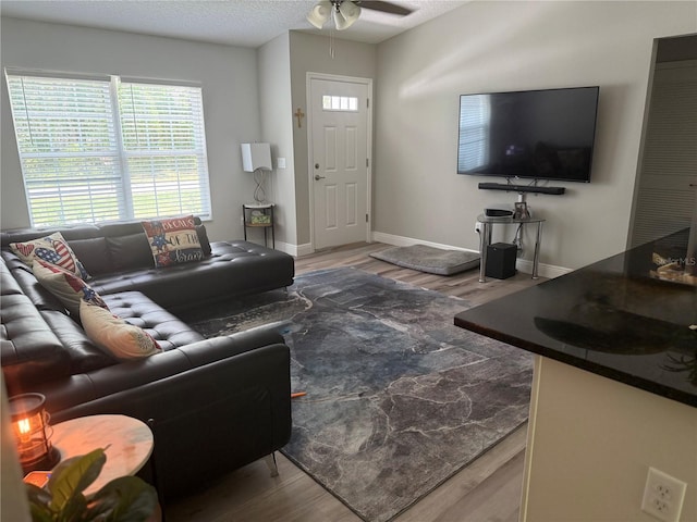 8737 N Spikes Way, Dunnellon, FL 34434 - living area featuring wood finished floors, healthy amount of natural light, and a ceiling fan
