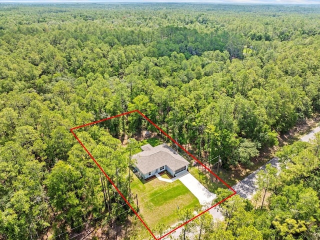 8737 N Spikes Way, Dunnellon, FL 34434 - view of subject property featuring a heavily wooded area and property boundaries highlighted