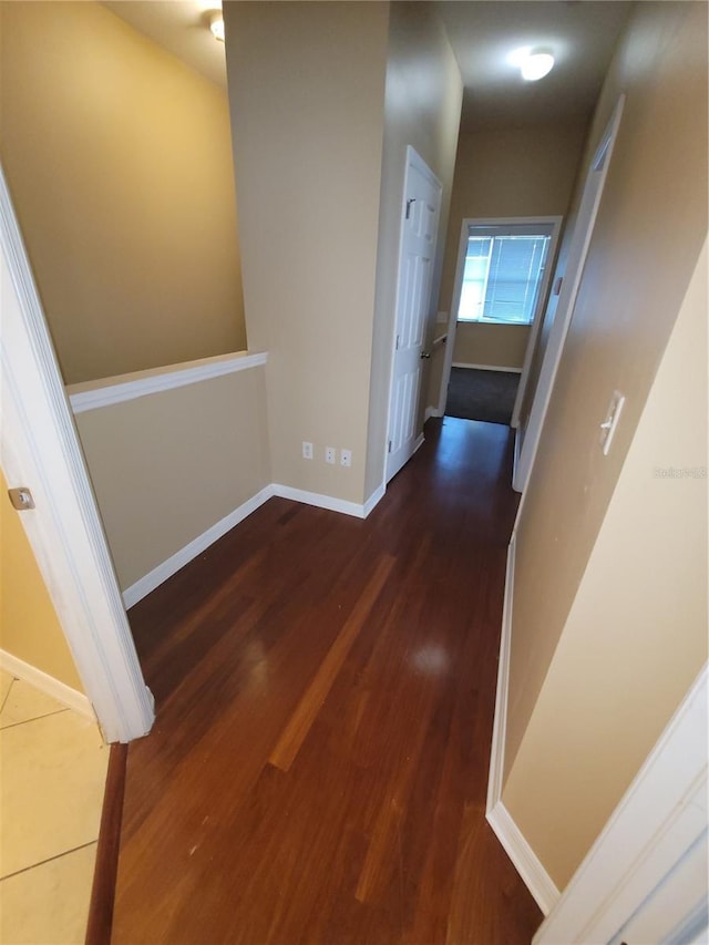 19239 Stone Hedge Dr, Tampa, FL 33647 - hallway with wood finished floors and baseboards