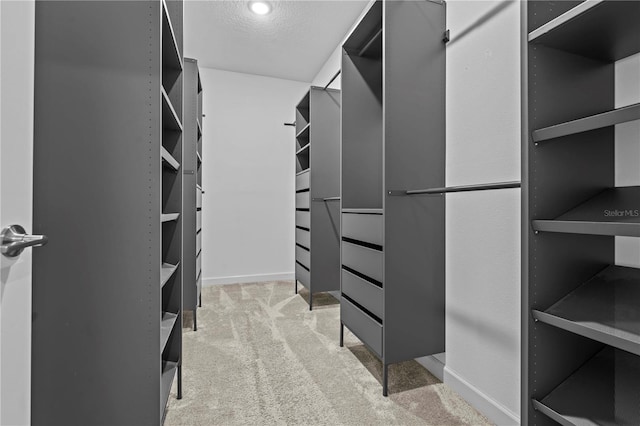 11308 Chilly Water Ct, Riverview, FL 33569 - spacious closet featuring carpet floors