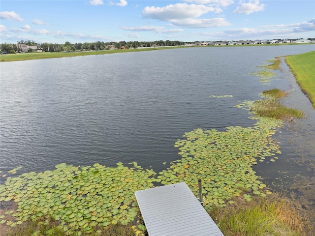 11308 Chilly Water Ct, Riverview, FL 33569 - water view