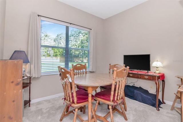 9317 Stone River Pl, Riverview, FL 33578 - photo 14
