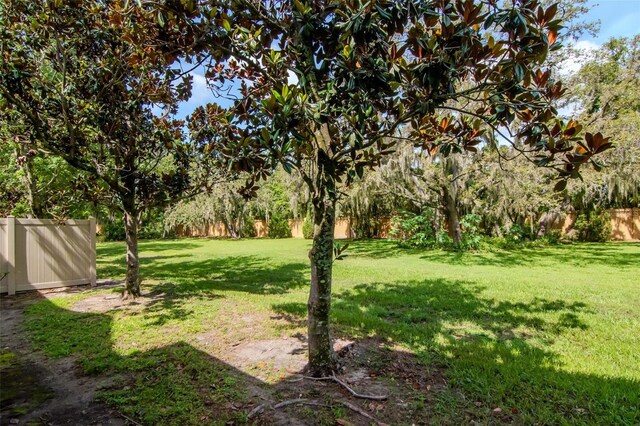 9317 Stone River Pl, Riverview, FL 33578 - photo 27