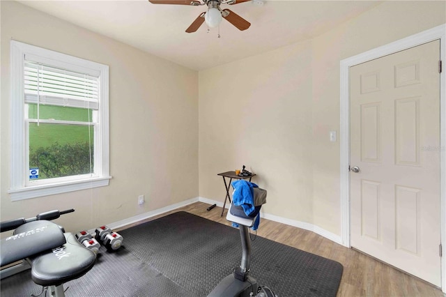 4411 3rd Ave S, Saint Petersburg, FL 33711 - photo 14