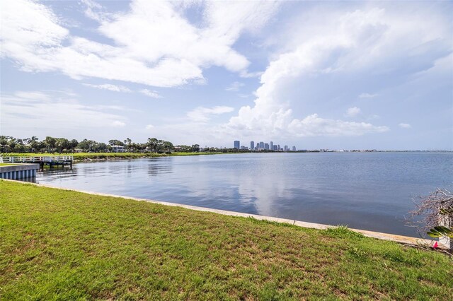 353 22nd Ave SE, Saint Petersburg, FL 33705 - photo 14
