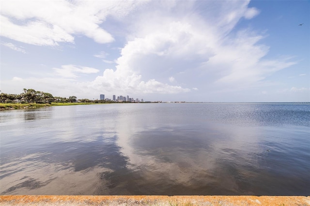 353 22nd Ave SE, Saint Petersburg, FL 33705 - photo 16