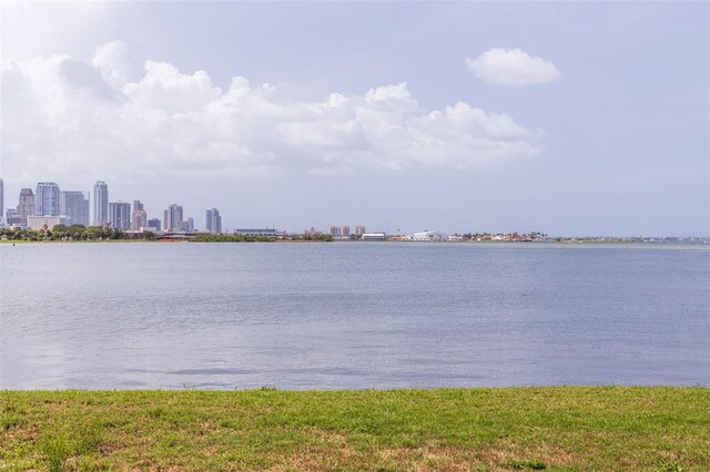 353 22nd Ave SE, Saint Petersburg, FL 33705 - photo 18