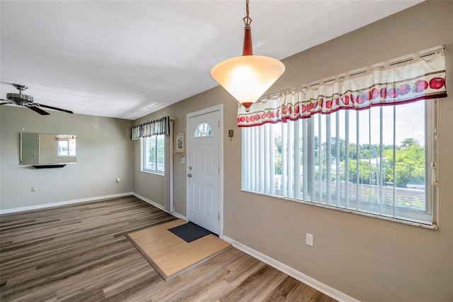 8396 111th St Unit 301, Seminole, FL 33772 - foyer with wood finished floors and a ceiling fan