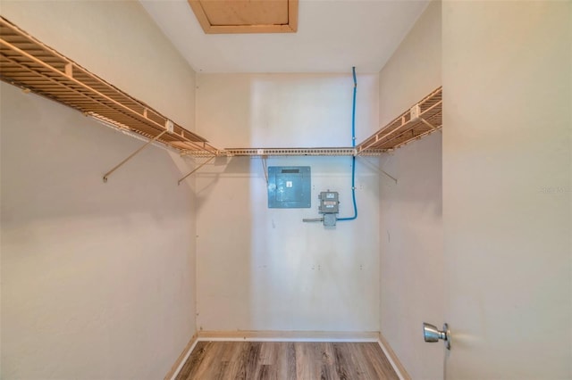 8396 111th St Unit 301, Seminole, FL 33772 - spacious closet featuring electric panel, wood finished floors, and attic access